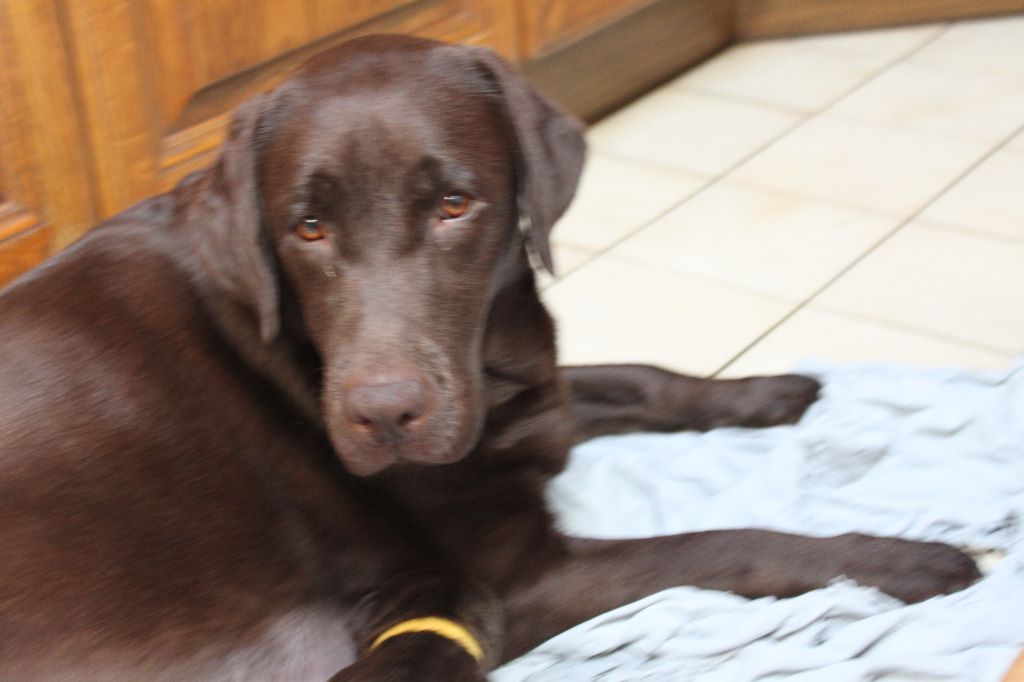Photos de la portée de OLYMPE